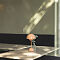 DSCF5340.jpg