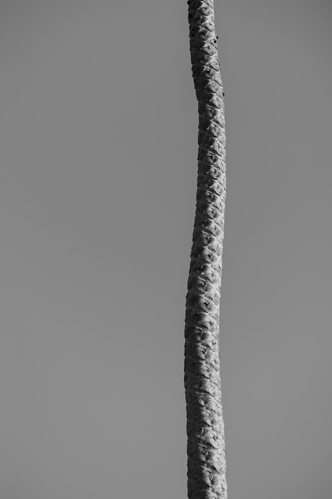 0O0A9181.jpg