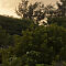 0O0A9215.jpg